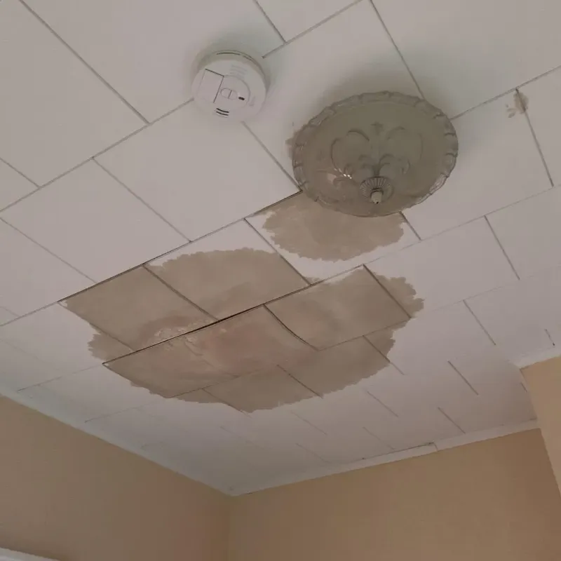 Ceiling Water Damage Repair in Big Park, AZ